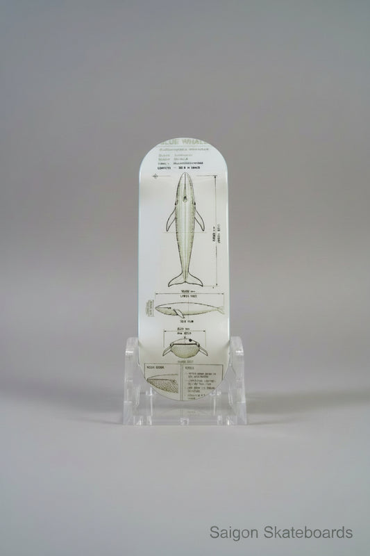 Blueprint Fingerboard - Blue Whale - 32/33/34mm * 96/ 98mm - Popsicle - Medium