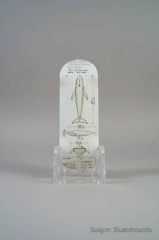 Blueprint Blue Whale Complete Fingerboard | 32mm, 33mm, 34mm