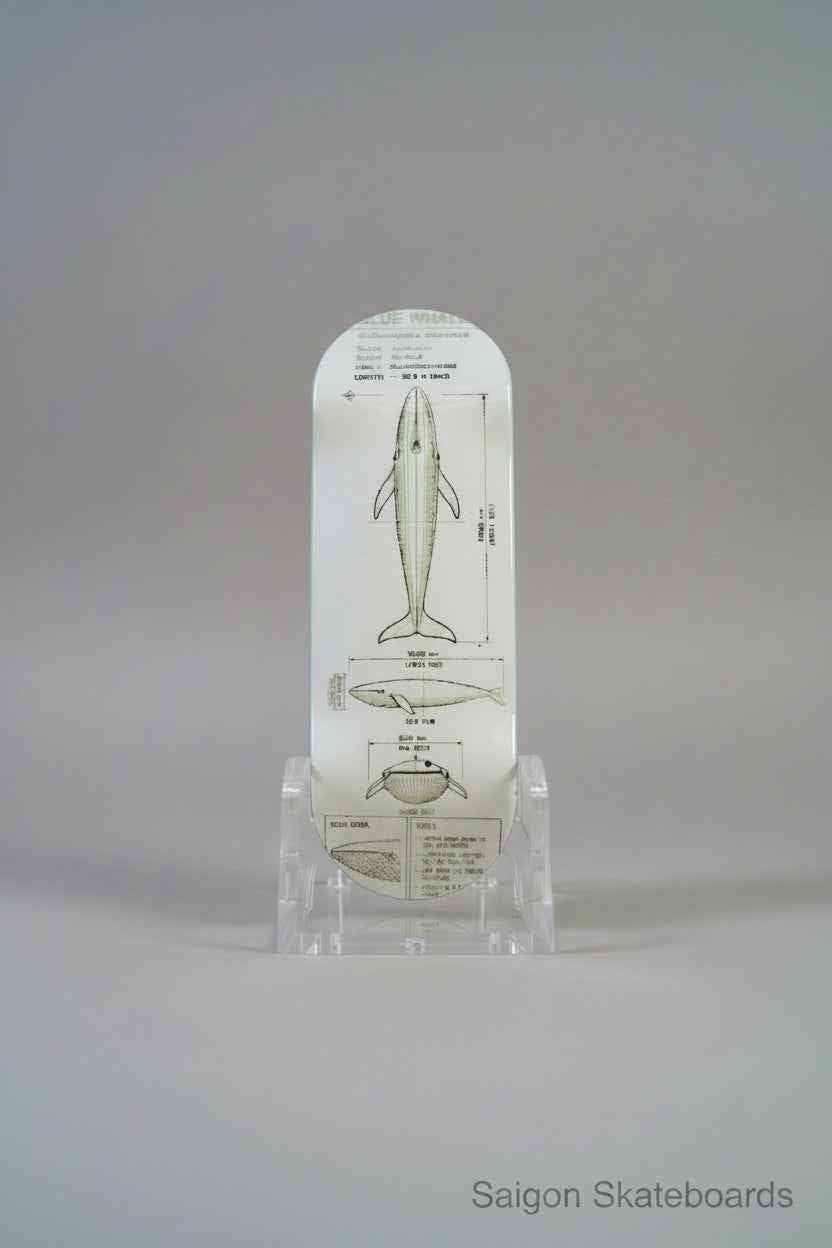 Blueprint Blue Whale Complete Fingerboard | 32mm, 33mm, 34mm