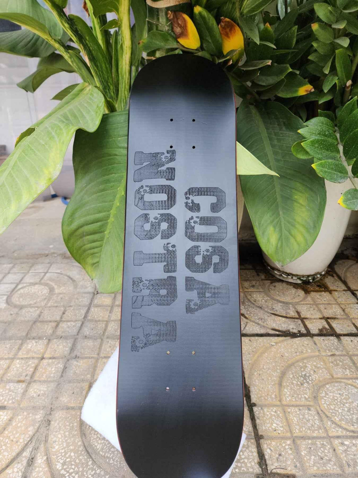 Black fingerboard deck with grey 'COSA NOSTRA WILSON' text, leaning against green plants.