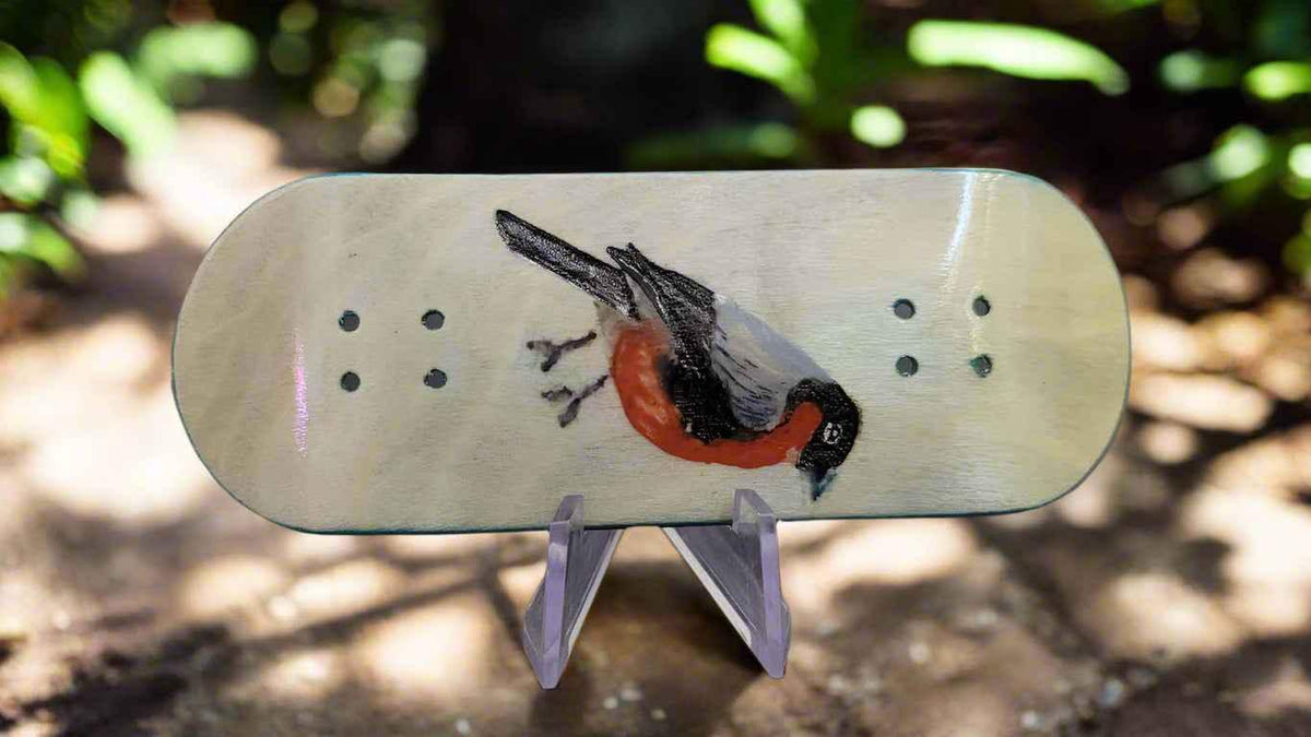 Handmade fingerboard deck featuring a painting of a red-breasted bird