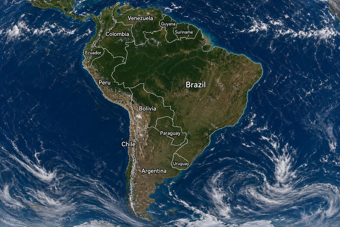 South American fingerboard brands, events, and community feature image
