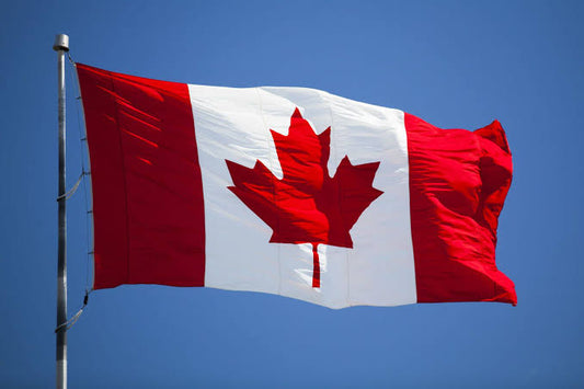 Canadian fingerboard brands, wheels, decks, and accessories guide