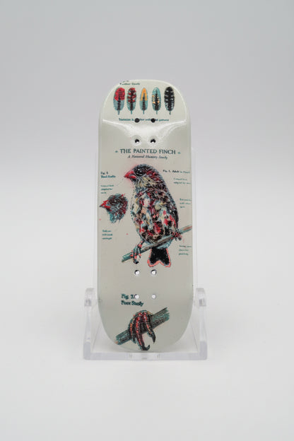 Specimen N0.7 Fingerboard - 32/33/34mm * 96/98/100mm - Popsicle - Medium